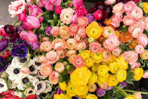 The Artistry of Skilful Florists in Creating Bouquets for Special Events